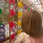 ヒメ日記 2025/08/11 00:12 投稿 さくら 京都祇園・南インターちゃんこ