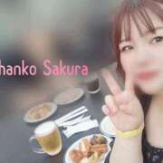 ヒメ日記 2025/08/14 00:02 投稿 さくら 京都祇園・南インターちゃんこ