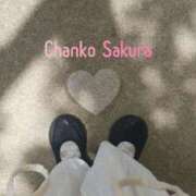 ヒメ日記 2025/08/18 07:01 投稿 さくら 京都祇園・南インターちゃんこ