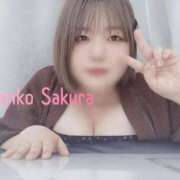 ヒメ日記 2025/08/24 11:00 投稿 さくら 京都祇園・南インターちゃんこ