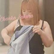 ヒメ日記 2025/08/25 16:25 投稿 さくら 京都祇園・南インターちゃんこ