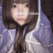 ヒメ日記 2025/08/30 23:40 投稿 さくら 京都祇園・南インターちゃんこ