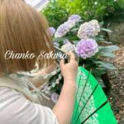 ヒメ日記 2025/08/31 11:00 投稿 さくら 京都祇園・南インターちゃんこ