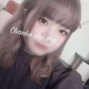 ヒメ日記 2025/09/01 07:01 投稿 さくら 京都祇園・南インターちゃんこ