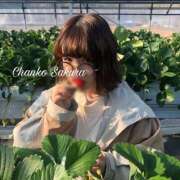 ヒメ日記 2025/09/12 11:00 投稿 さくら 京都祇園・南インターちゃんこ