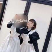 ヒメ日記 2025/09/15 20:02 投稿 さくら 京都祇園・南インターちゃんこ