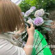 ヒメ日記 2025/09/19 11:15 投稿 さくら 京都祇園・南インターちゃんこ