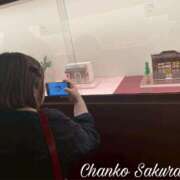 ヒメ日記 2025/09/30 16:30 投稿 さくら 京都祇園・南インターちゃんこ