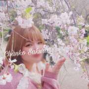 ヒメ日記 2025/10/01 16:46 投稿 さくら 京都祇園・南インターちゃんこ