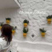 ヒメ日記 2025/10/03 07:15 投稿 さくら 京都祇園・南インターちゃんこ