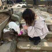 ヒメ日記 2025/10/04 07:01 投稿 さくら 京都祇園・南インターちゃんこ