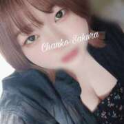 ヒメ日記 2025/10/16 15:15 投稿 さくら 京都祇園・南インターちゃんこ