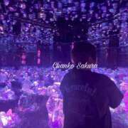 ヒメ日記 2025/10/20 07:01 投稿 さくら 京都祇園・南インターちゃんこ