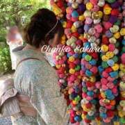 ヒメ日記 2025/10/24 07:16 投稿 さくら 京都祇園・南インターちゃんこ