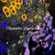 ヒメ日記 2025/10/24 11:00 投稿 さくら 京都祇園・南インターちゃんこ