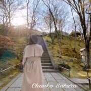 ヒメ日記 2025/10/25 15:30 投稿 さくら 京都祇園・南インターちゃんこ