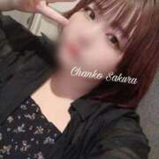 ヒメ日記 2025/10/28 11:01 投稿 さくら 京都祇園・南インターちゃんこ