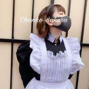 ヒメ日記 2025/10/30 19:16 投稿 さくら 京都祇園・南インターちゃんこ