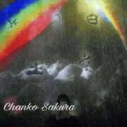 ヒメ日記 2025/10/31 11:30 投稿 さくら 京都祇園・南インターちゃんこ