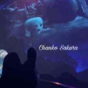 ヒメ日記 2025/11/03 11:30 投稿 さくら 京都祇園・南インターちゃんこ