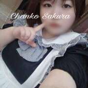 ヒメ日記 2025/11/05 20:02 投稿 さくら 京都祇園・南インターちゃんこ