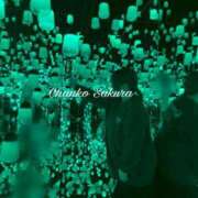 ヒメ日記 2025/11/06 15:15 投稿 さくら 京都祇園・南インターちゃんこ