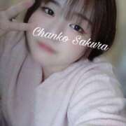 ヒメ日記 2025/11/09 15:46 投稿 さくら 京都祇園・南インターちゃんこ