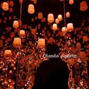 ヒメ日記 2025/11/10 07:01 投稿 さくら 京都祇園・南インターちゃんこ