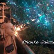 ヒメ日記 2025/11/10 11:15 投稿 さくら 京都祇園・南インターちゃんこ