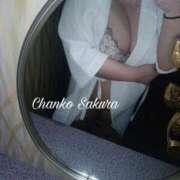 ヒメ日記 2025/11/10 15:01 投稿 さくら 京都祇園・南インターちゃんこ