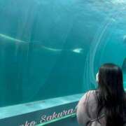 ヒメ日記 2025/11/11 11:00 投稿 さくら 京都祇園・南インターちゃんこ