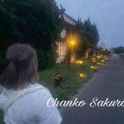 ヒメ日記 2025/11/13 12:15 投稿 さくら 京都祇園・南インターちゃんこ