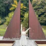 ヒメ日記 2025/11/15 10:35 投稿 さくら 京都祇園・南インターちゃんこ