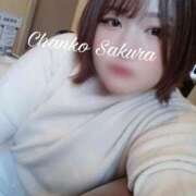 ヒメ日記 2025/11/16 11:01 投稿 さくら 京都祇園・南インターちゃんこ