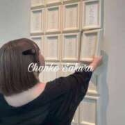 ヒメ日記 2025/11/16 15:30 投稿 さくら 京都祇園・南インターちゃんこ