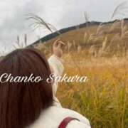 ヒメ日記 2025/11/18 19:21 投稿 さくら 京都祇園・南インターちゃんこ