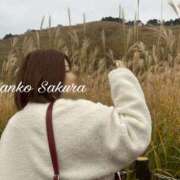 ヒメ日記 2025/11/20 07:15 投稿 さくら 京都祇園・南インターちゃんこ