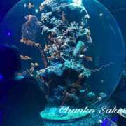 ヒメ日記 2025/11/21 11:01 投稿 さくら 京都祇園・南インターちゃんこ