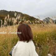 ヒメ日記 2025/11/23 08:30 投稿 さくら 京都祇園・南インターちゃんこ