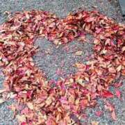 ヒメ日記 2025/11/24 22:03 投稿 さくら 京都祇園・南インターちゃんこ