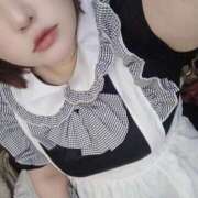 ヒメ日記 2025/11/27 15:15 投稿 さくら 京都祇園・南インターちゃんこ