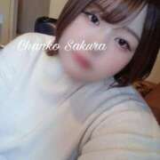 ヒメ日記 2025/11/28 15:01 投稿 さくら 京都祇園・南インターちゃんこ