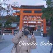 ヒメ日記 2025/11/29 08:15 投稿 さくら 京都祇園・南インターちゃんこ