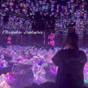 ヒメ日記 2025/11/29 11:15 投稿 さくら 京都祇園・南インターちゃんこ