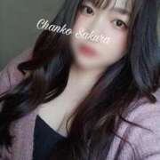 ヒメ日記 2025/12/01 07:15 投稿 さくら 京都祇園・南インターちゃんこ