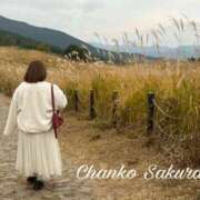 ヒメ日記 2025/12/01 17:45 投稿 さくら 京都祇園・南インターちゃんこ