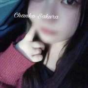 ヒメ日記 2025/12/02 21:50 投稿 さくら 京都祇園・南インターちゃんこ