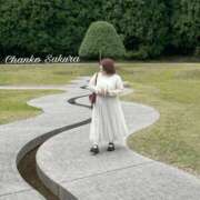 ヒメ日記 2025/12/11 12:31 投稿 さくら 京都祇園・南インターちゃんこ