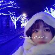 ヒメ日記 2025/12/11 15:30 投稿 さくら 京都祇園・南インターちゃんこ