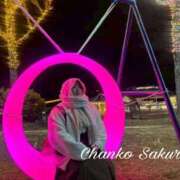 ヒメ日記 2025/12/12 15:15 投稿 さくら 京都祇園・南インターちゃんこ